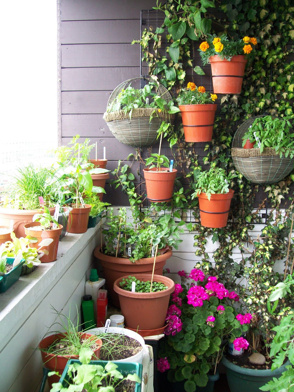 Balcony Garden Ideas And Designs Growingarden