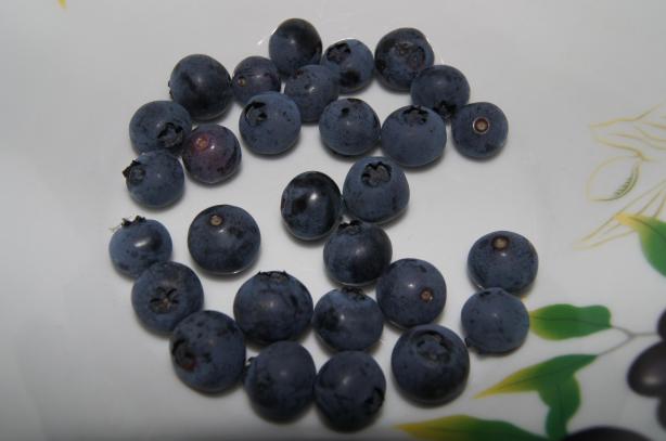 First Blueberry Harvest for Summer 2015